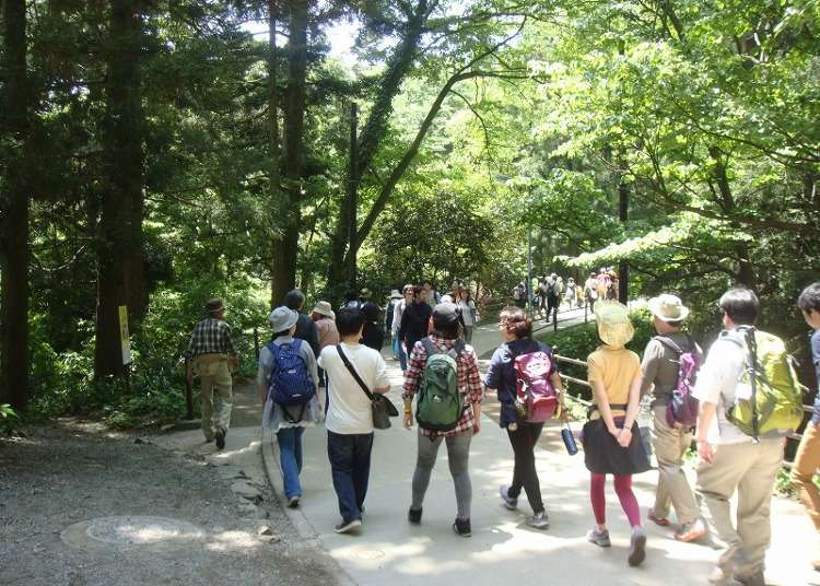 都内から気軽に！高尾山での登山体験